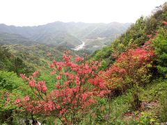 -永州阳明山国家森林公园