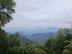 -莫干山风景区