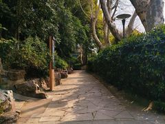 -泰州凤城河风景区-泰山公园