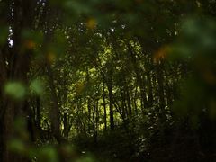 -叠溪松坪沟景区