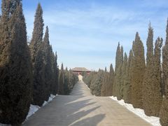 -中华三祖圣地黄帝城遗址文化旅游区
