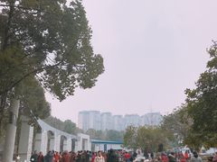 -沙河三洞古桥公园