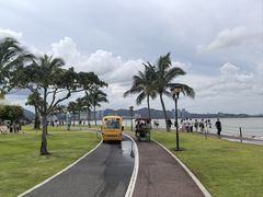 -野狸岛