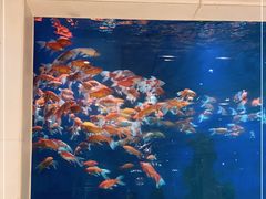-鹏天阁酒楼·海鲜(红旗店)