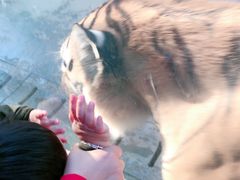 -上方山森林动物世界