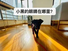 -帝京日语(春熙路旗舰校区)