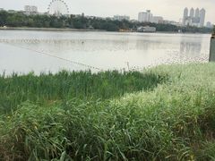 -南宁南湖公园