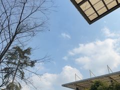 -成都高新创新角度网球俱乐部