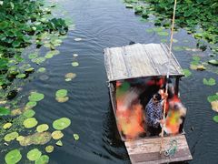 -荷塘月色湿地公园·向阳花洲