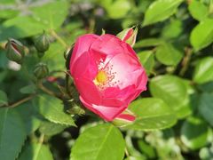 -白塘生态植物园