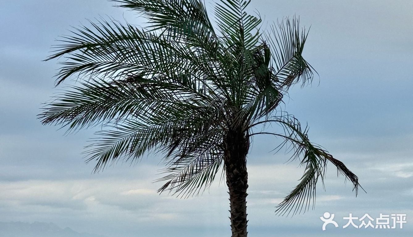 度假模式开启✈️