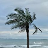 度假模式开启✈️