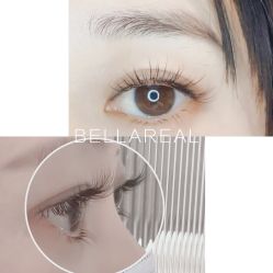 -BELLAREAL新美社
