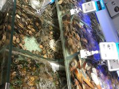 水产区-盒马鲜生(岭南新世界店)