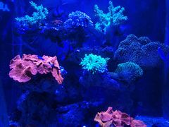 -海合安成都极地海洋公园