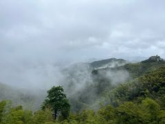 -莫干山风景区