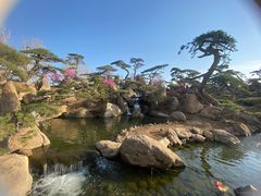 -罗红摄影艺术馆