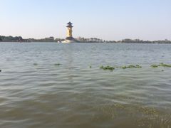 溱湖国家湿地公园-溱湖国家湿地公园