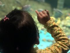 -苏州海洋馆