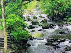 -广州市石门国家森林公园