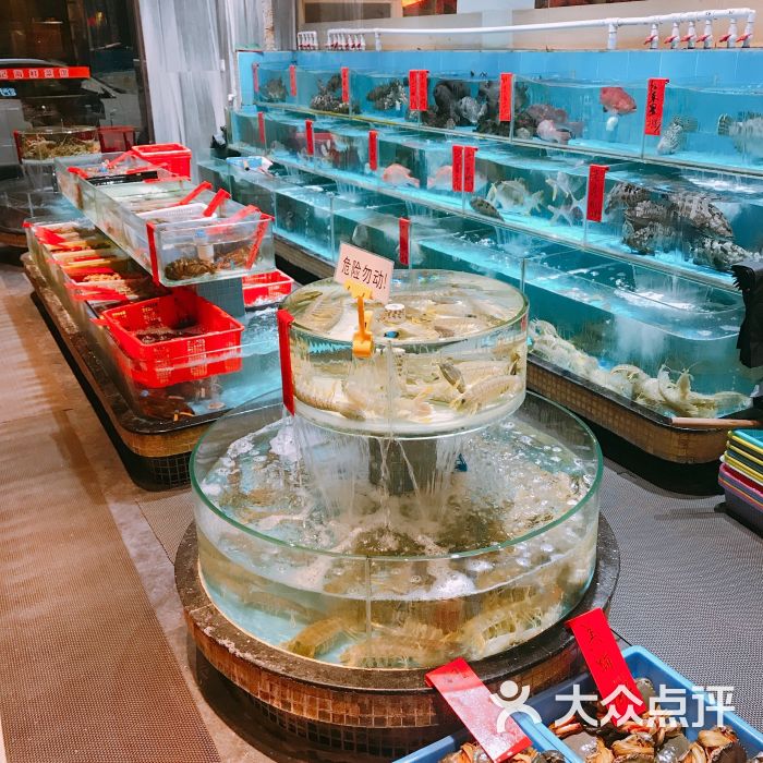 强记海鲜菜馆(蛇口店)-图片-深圳美食-大众点评网