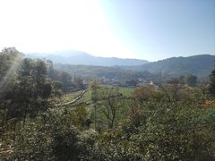 -塔川景区