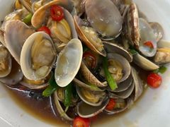 姜葱炒花甲-众味海鲜大排档·活海鲜·潮汕味(南澳店)