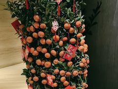 -万丽轩·粤菜(王府井金茂万丽酒店)