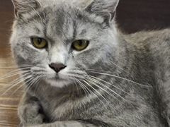 -猫岛主趣味餐厅(鼓浪屿店)