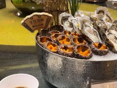 -半岛翡丽海鲜自助餐厅(观风亭店)