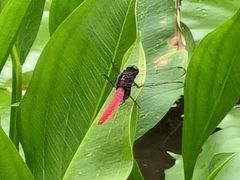 -广州市白云山风景名胜区