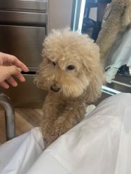 -Hair Co.一间沙龙