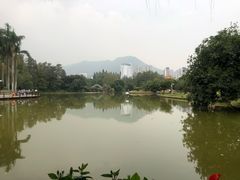 -四海公园(南山区)