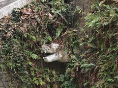 -南山风景名胜区