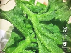 -一叶一世界•素食餐厅(环球中心店)