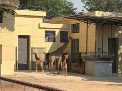 -昆明动物园