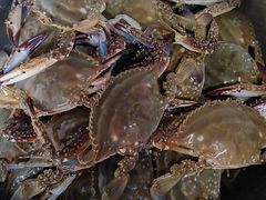 -辽宁对外经贸学院