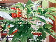 -小八仙·宴(三峡茶庄店)