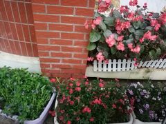 -南宁市红星小学