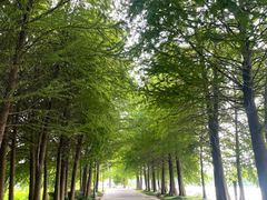 -石湖景区