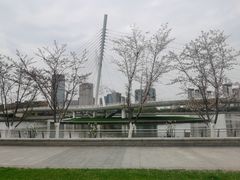 -映月湖中央公园