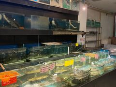 -农家大院(纪王店)
