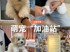 -翊宠yipet猫狗购宠庄园犬舍•猫舍