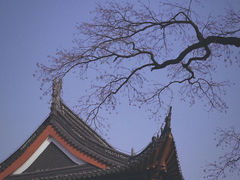 -莫愁湖公园