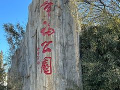 -幸福门