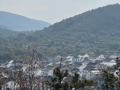 -香雪海