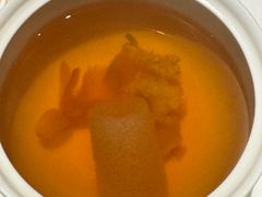 -觀芷隐轩