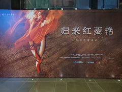 -重庆国泰艺术中心