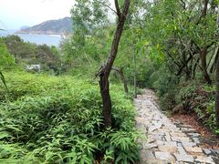 -广东惠东海龟国家级自然保护区
