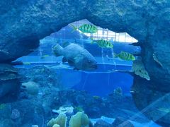 -成都浩海立方海洋公园